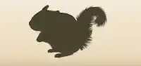 ムササビのシルエット