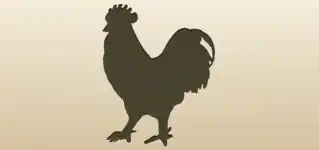 Rooster silhouette