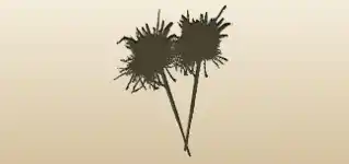 Sparklers silhouette
