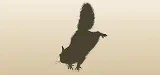 Flying Squirrel silhouette