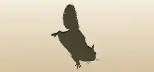 Flying Squirrel silhouette