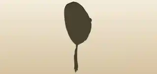 Chinese Cap silhouette