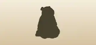 Panda silhouette