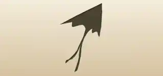Kite silhouette