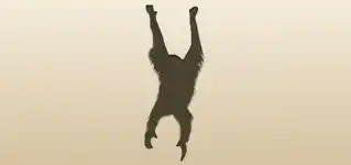 Monkey silhouette