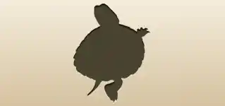 Turtle silhouette