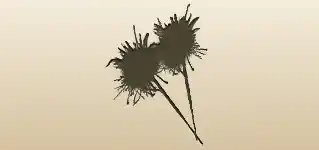 Sparklers silhouette
