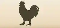 Rooster