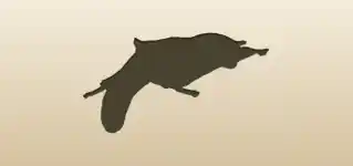 Flying Squirrel silhouette