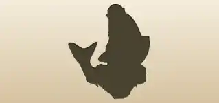 Fish silhouette