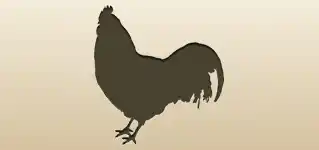 Rooster silhouette