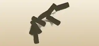 Firecrackers silhouette