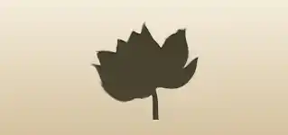 Lotus silhouette