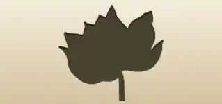Lotus silhouette