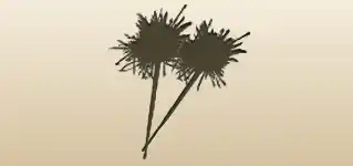 Sparklers silhouette