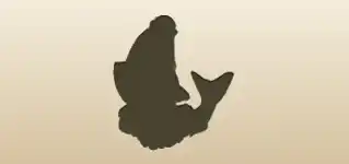 Fish silhouette
