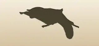 Flying Squirrel silhouette