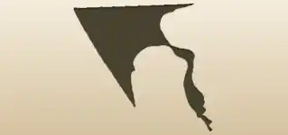 Kite silhouette