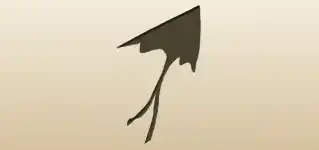 Kite silhouette