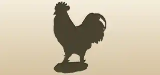 Rooster silhouette