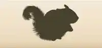 ムササビのシルエット