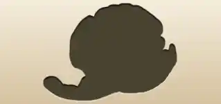 Tangerine silhouette