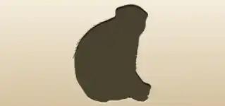 Monkey silhouette