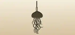 Jellyfish