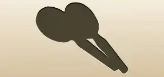 Maracas