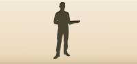 Waiter silhouette