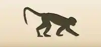 サル