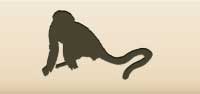 Monkey silhouette