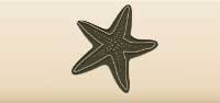 Starfish