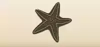 Starfish