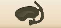 Diving Mask silhouette