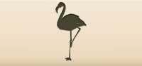Flamingo silhouette
