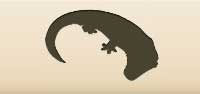 Crocodile silhouette