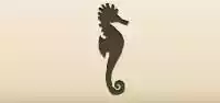 タツノオトシゴ
