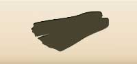 Flippers silhouette