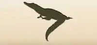 ワニ