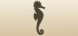 Seahorse