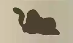 ネコ