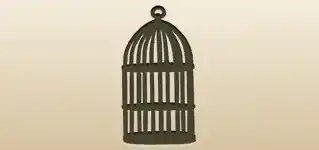 Birdcage silhouette