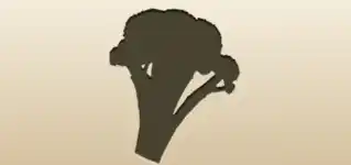 Broccoli silhouette