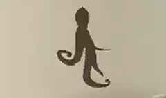 タコ