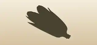 トウモロコシ