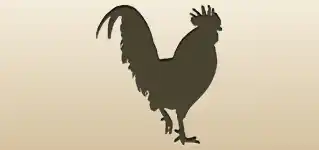Rooster silhouette