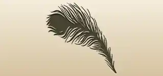 Peacock Feather silhouette