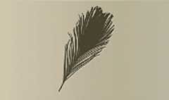 Peacock Feather silhouette