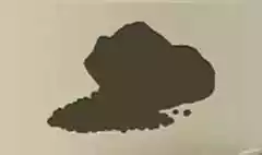 コーヒー豆